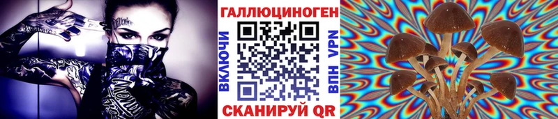Купить Яблоновский Галлюциногенные грибы Psilocybe